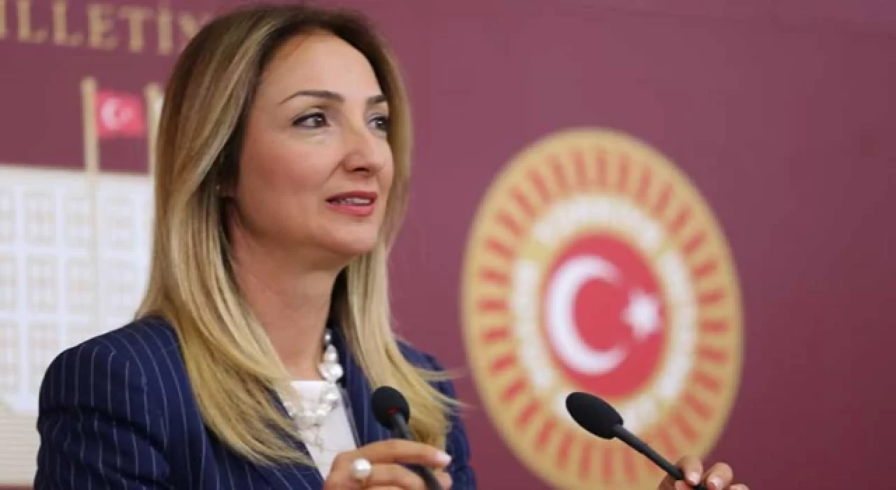 Eski Bakan Derya Yanık’tan CHP’li Aylin Nazlıaka hakkında suç duyurusu