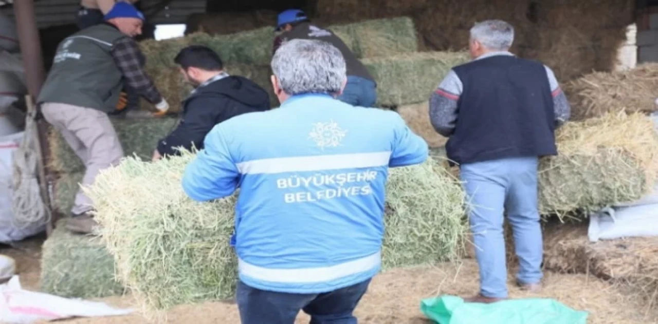 Aydın’da üreticiye büyük destek