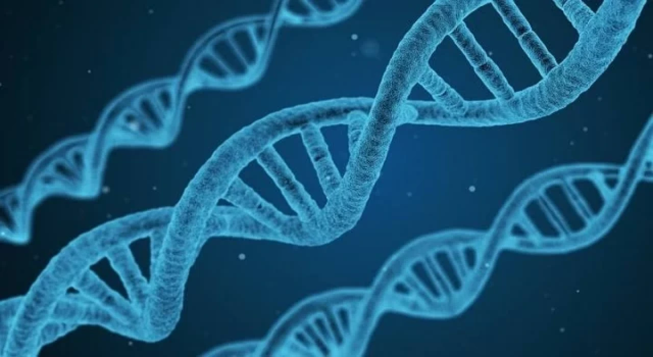 Gen tedavileri ile gerçek genom çağı resmen başladı