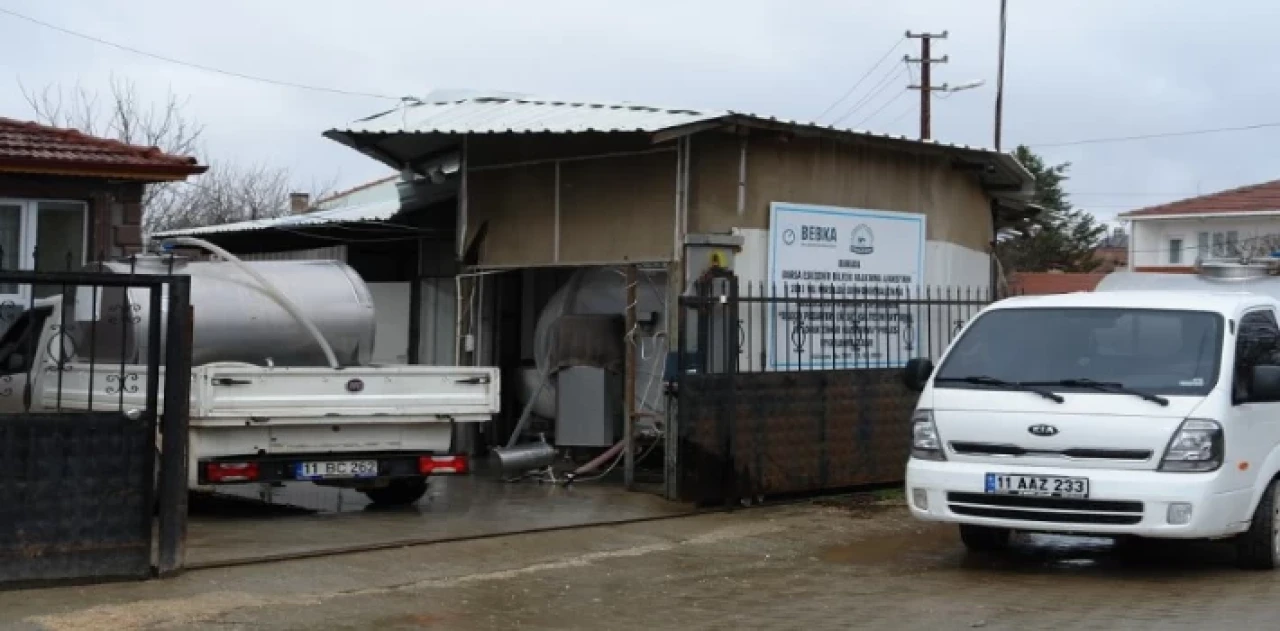 Çiğ sütte Pazaryeri’nden ülke ekonomisine milyonluk katkı