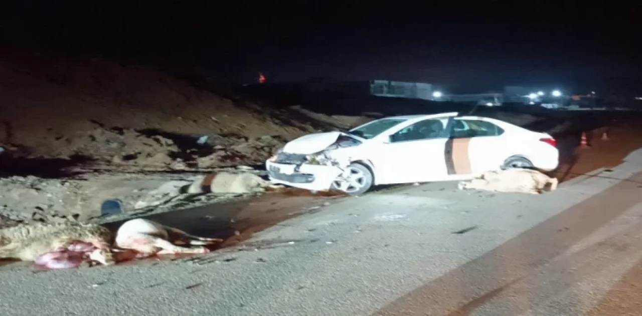 Bilecik’te hayvan sürüsüne çarptı! 6 koyun telef, çoban yaralı!