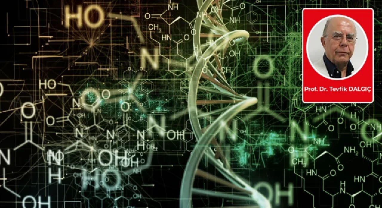 Dünya bilimi nerededir yeni bilgiler nasıl öğrenilir