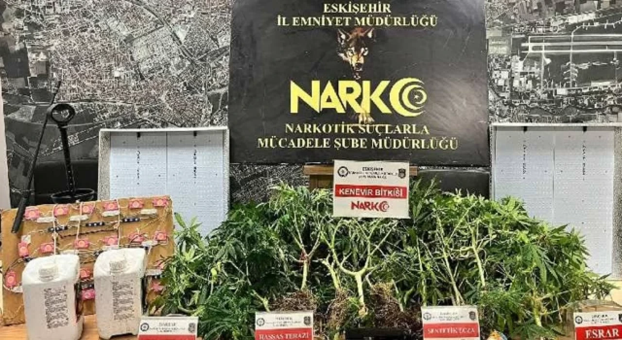 Evinde Hint keneviri yetiştiren kişi tutuklandı