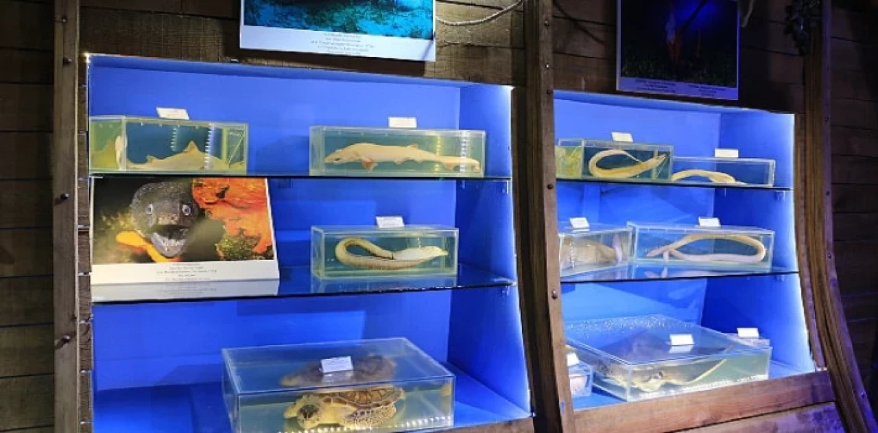 Antalya Büyükşehir Belediyesi denizciliğin  geliştirilmesi adına çalışmalarını sürdürüyor