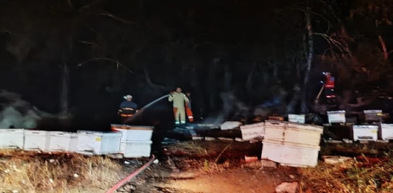 Kemer’de çıkan orman yangını büyümeden söndürüldü