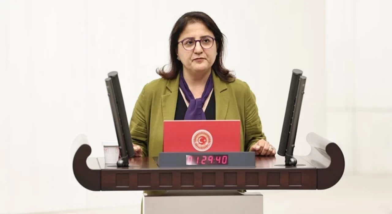 DEM Partili Ayten Kordu’dan İliç izlenimleri