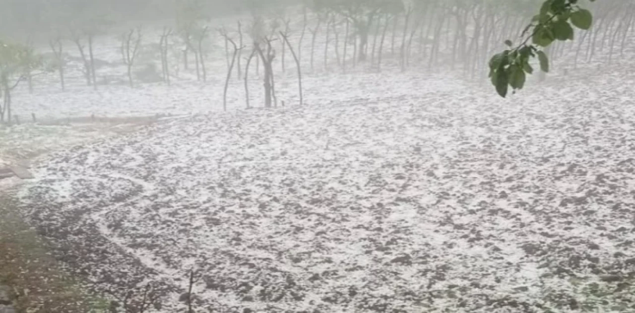 Düzce’de dolu yağışı hayatı olumsuz etkiledi