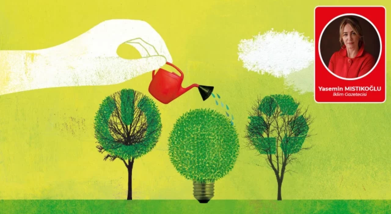 İklim krizi savaşçıları gençler