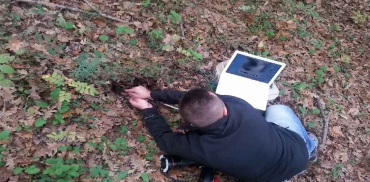 Yaban Hayatı Derneği: ”Soruşturmanın takipçisi olacağız”