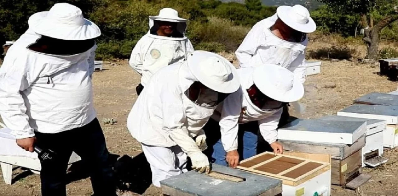 Bayraklı Belediyesinden yerel üreticiye kurs desteği 'Arıcılık ve bal üretimi kursu’ başlıyor