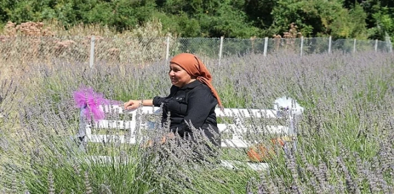 Kemer’de lavanta hasadı