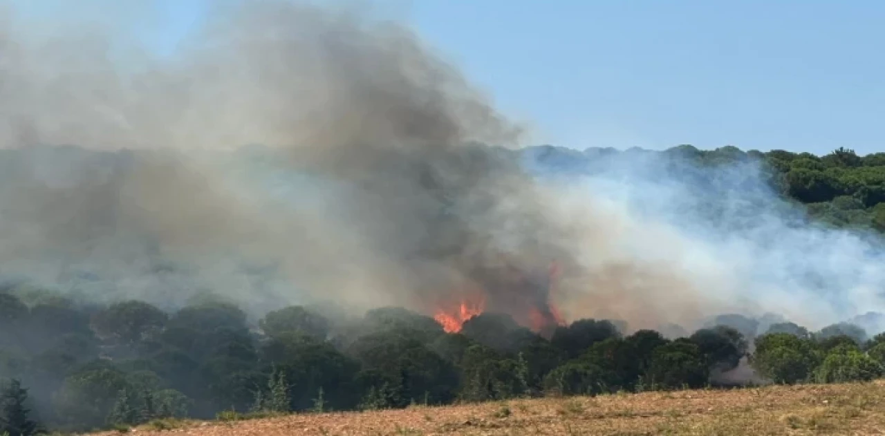 Yalova Armutlu’da iki ayrı noktada yangın! Müdahale sürüyor