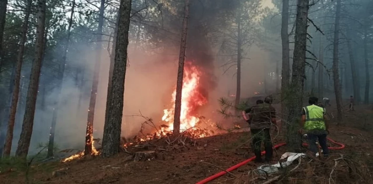 Muğla Büyükşehir Orman Yangınlarında Tüm Gücüyle Sahada