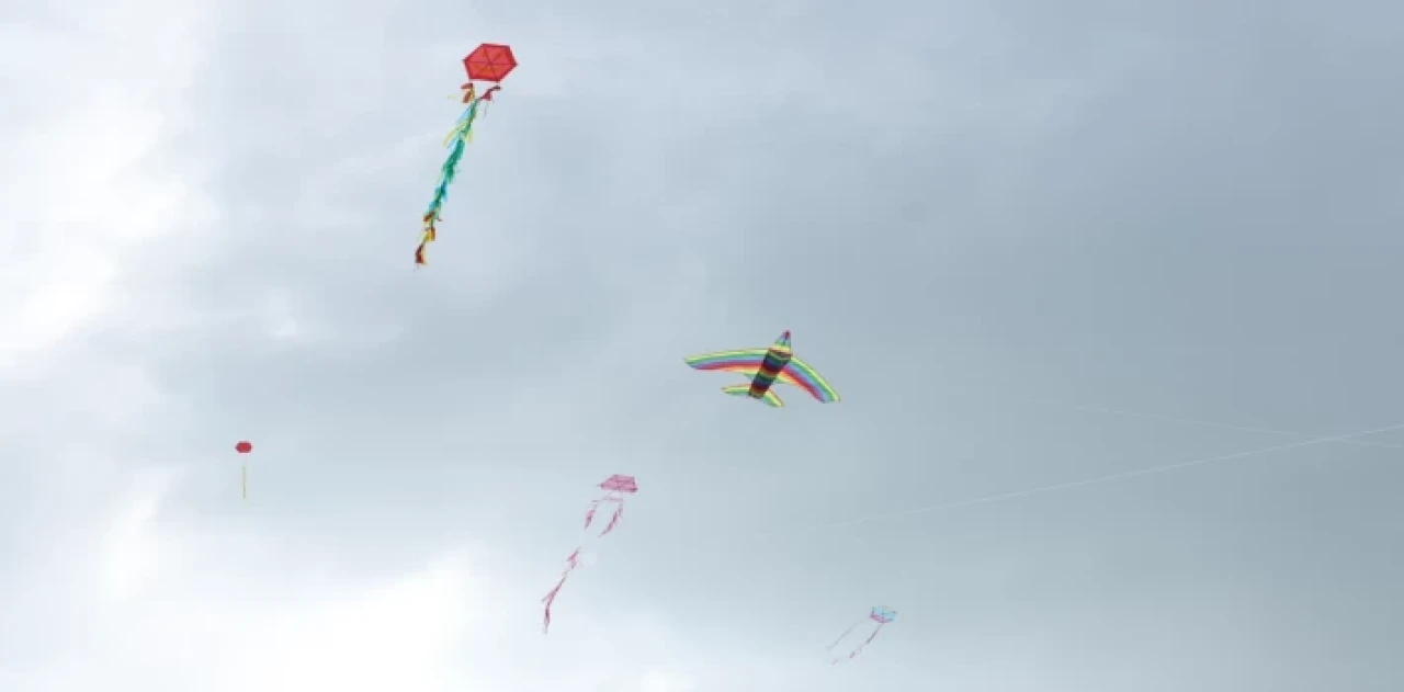 Uçurtmalar Bursa Nilüfer’de ’Barış’ için uçtu