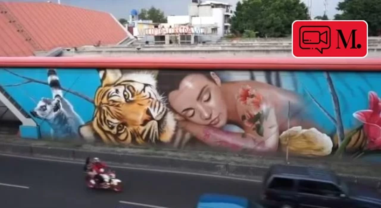 Meksiko’nun en tehlikeli mahallesi rengarenk oldu