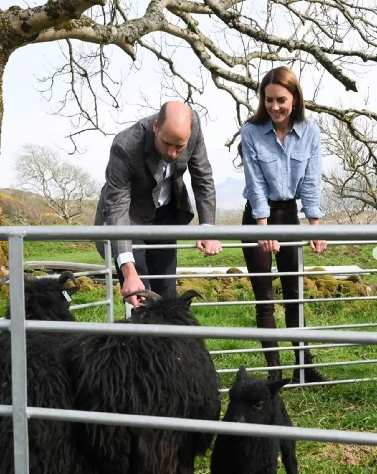 Prens William ve Kate Middleton'dan Galler'de oldukça romantik pozlar 2