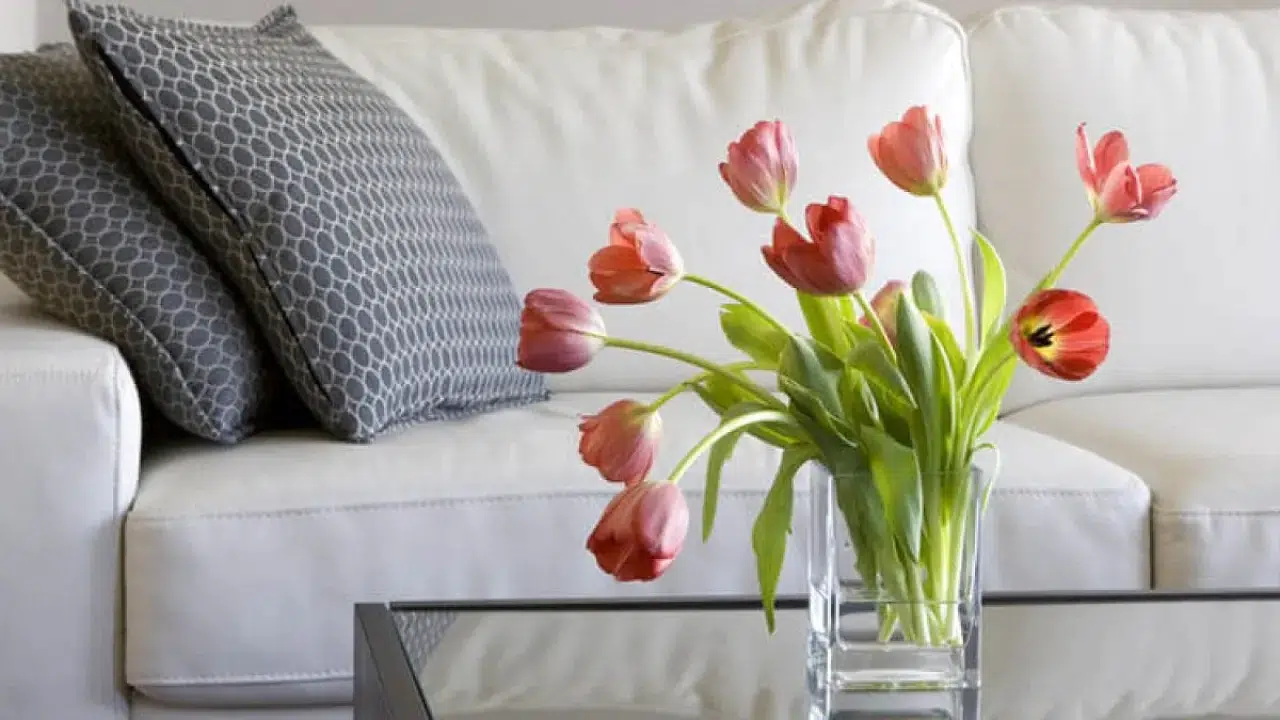 Yatak odasında bulunmaması gereken 5 eşya 2