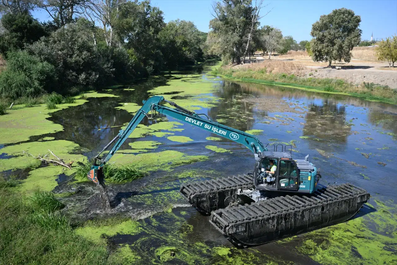 Edirne Tunca Nehri’nde sonunda temizlik çalışması başlatıldı 4