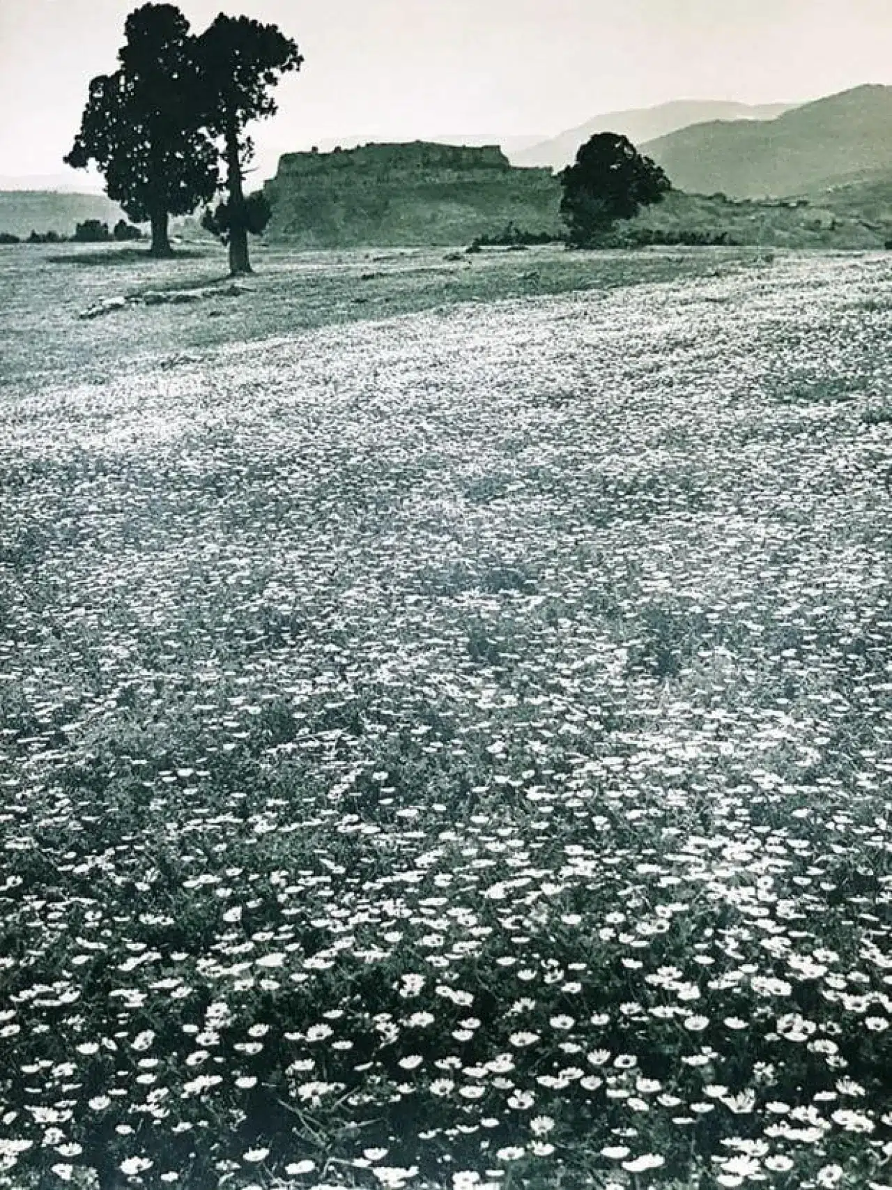 1936’da Atatürk’ün gözüyle Türkiye: 20 efsane fotoğraf 17