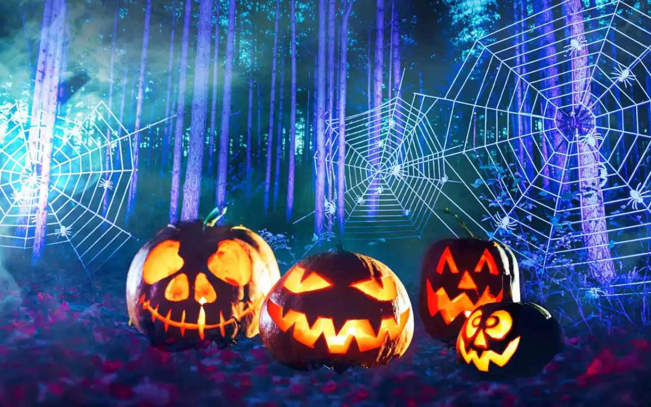 Cadılar Bayramı 2025: Halloween ne zaman ve neden kutlanıyor? 2