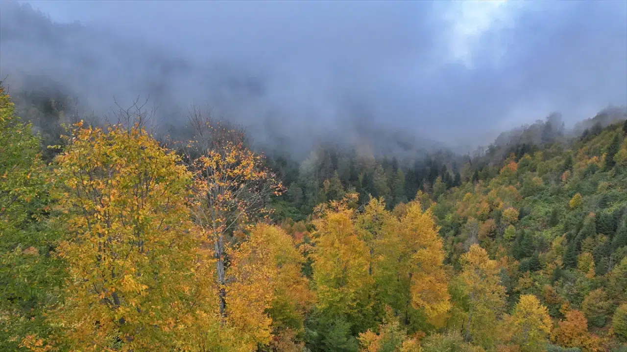 Trabzon'un yüksek kesimleri sonbahar renkleriyle büyülüyor 11
