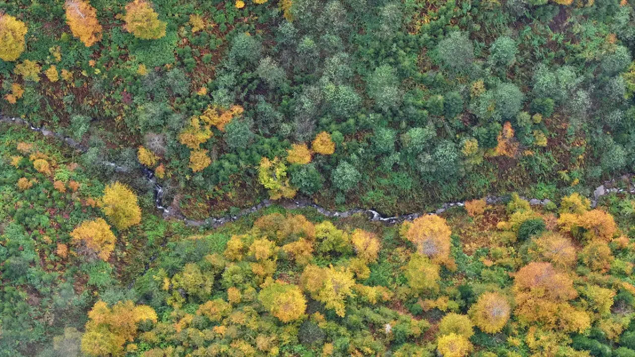 Trabzon'un yüksek kesimleri sonbahar renkleriyle büyülüyor 8