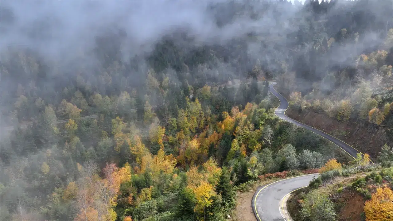 Trabzon'un yüksek kesimleri sonbahar renkleriyle büyülüyor 3