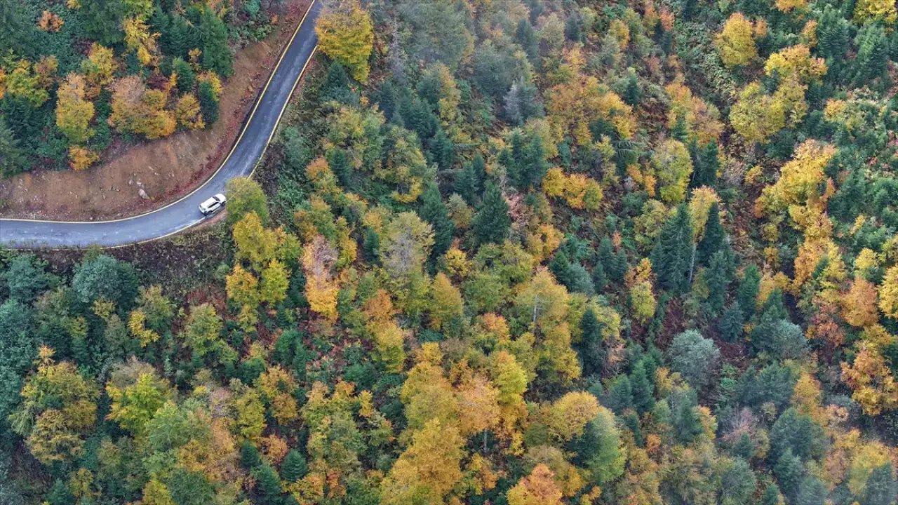 Trabzon'un yüksek kesimleri sonbahar renkleriyle büyülüyor 7