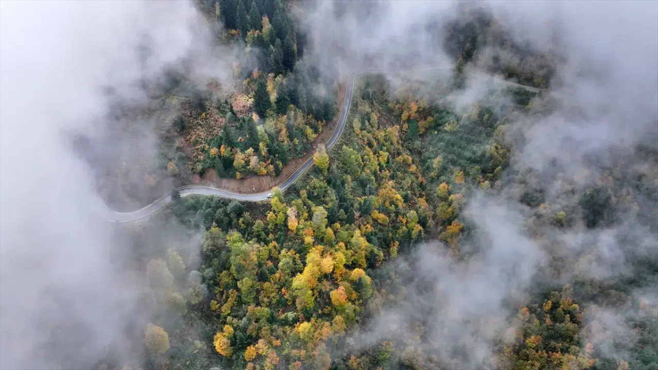 Trabzon'un yüksek kesimleri sonbahar renkleriyle büyülüyor 9