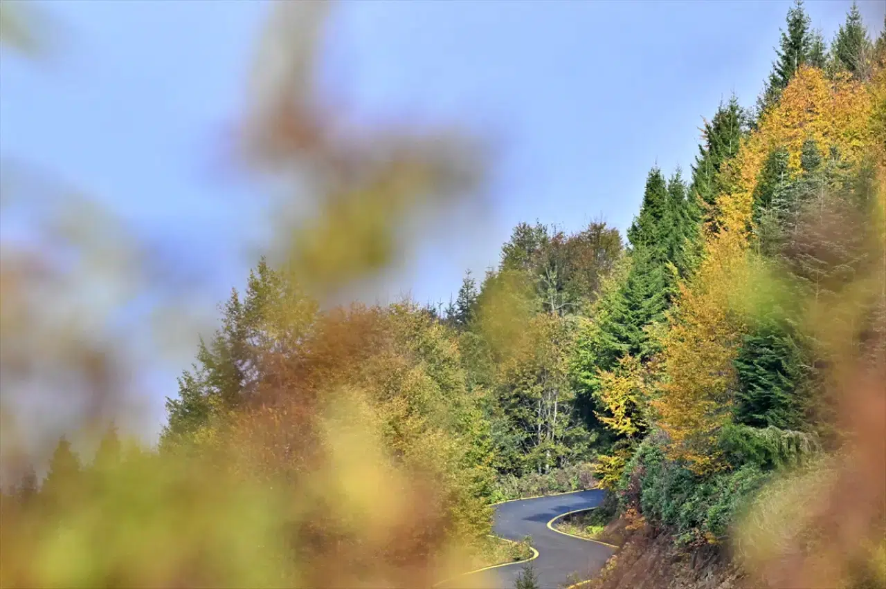 Trabzon'un yüksek kesimleri sonbahar renkleriyle büyülüyor 12