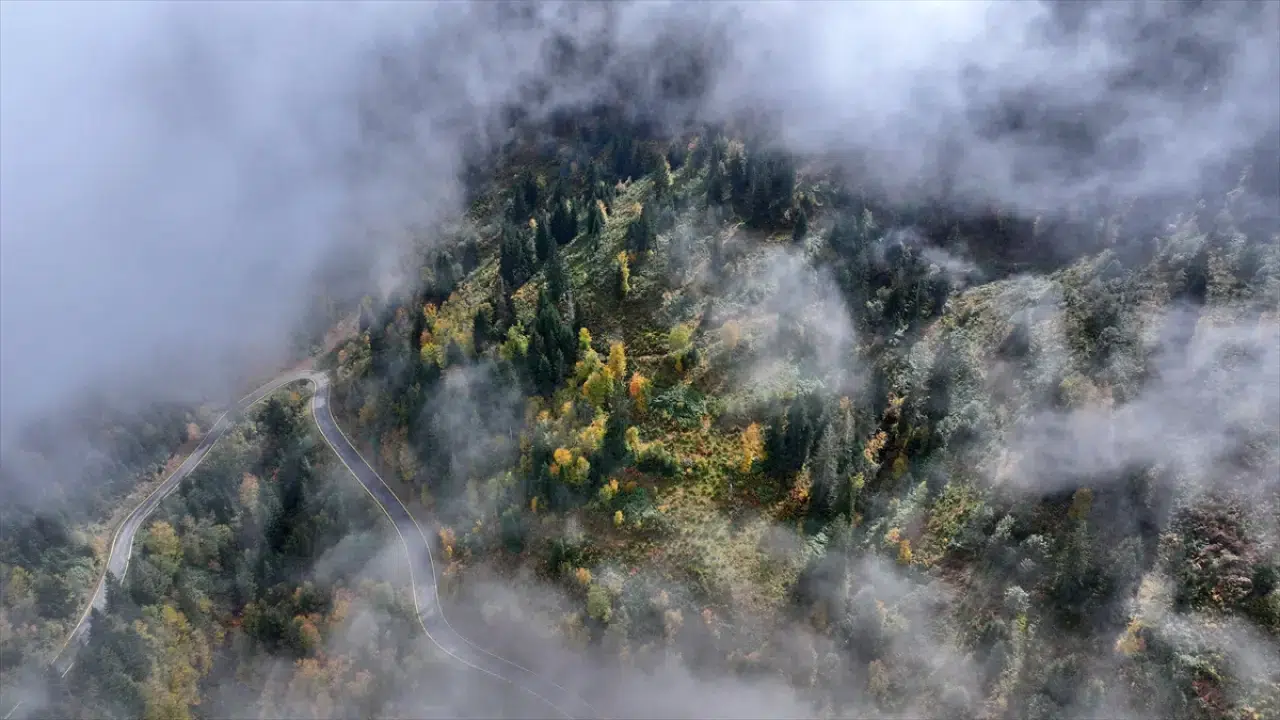 Trabzon'un yüksek kesimleri sonbahar renkleriyle büyülüyor 4