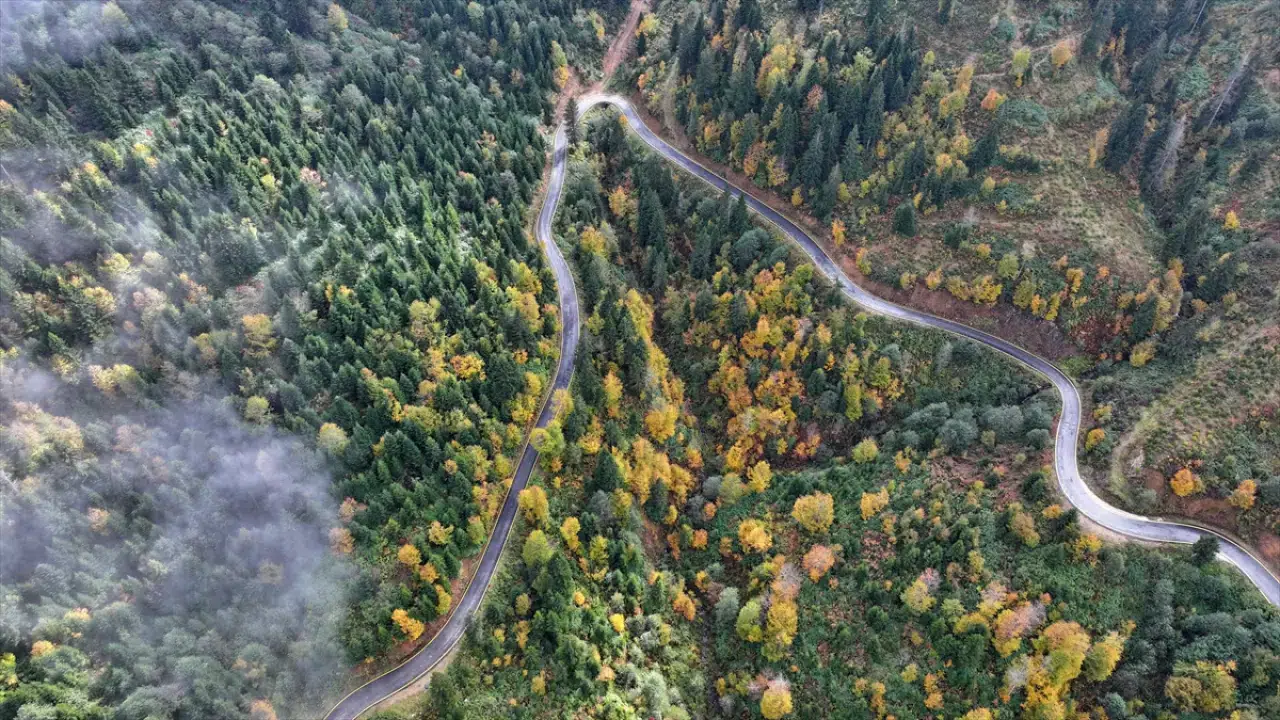 Trabzon'un yüksek kesimleri sonbahar renkleriyle büyülüyor 6