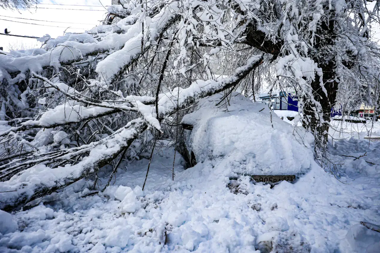 Rusya’da son 146 yılın en yoğun kar yağışı: Moskova’dan Vladivostok’a beyaz kabus 3