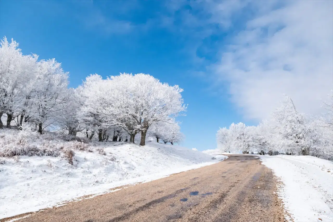 Istranca Ormanları'nda bir kış masalı: Beyaz örtü büyüledi 6