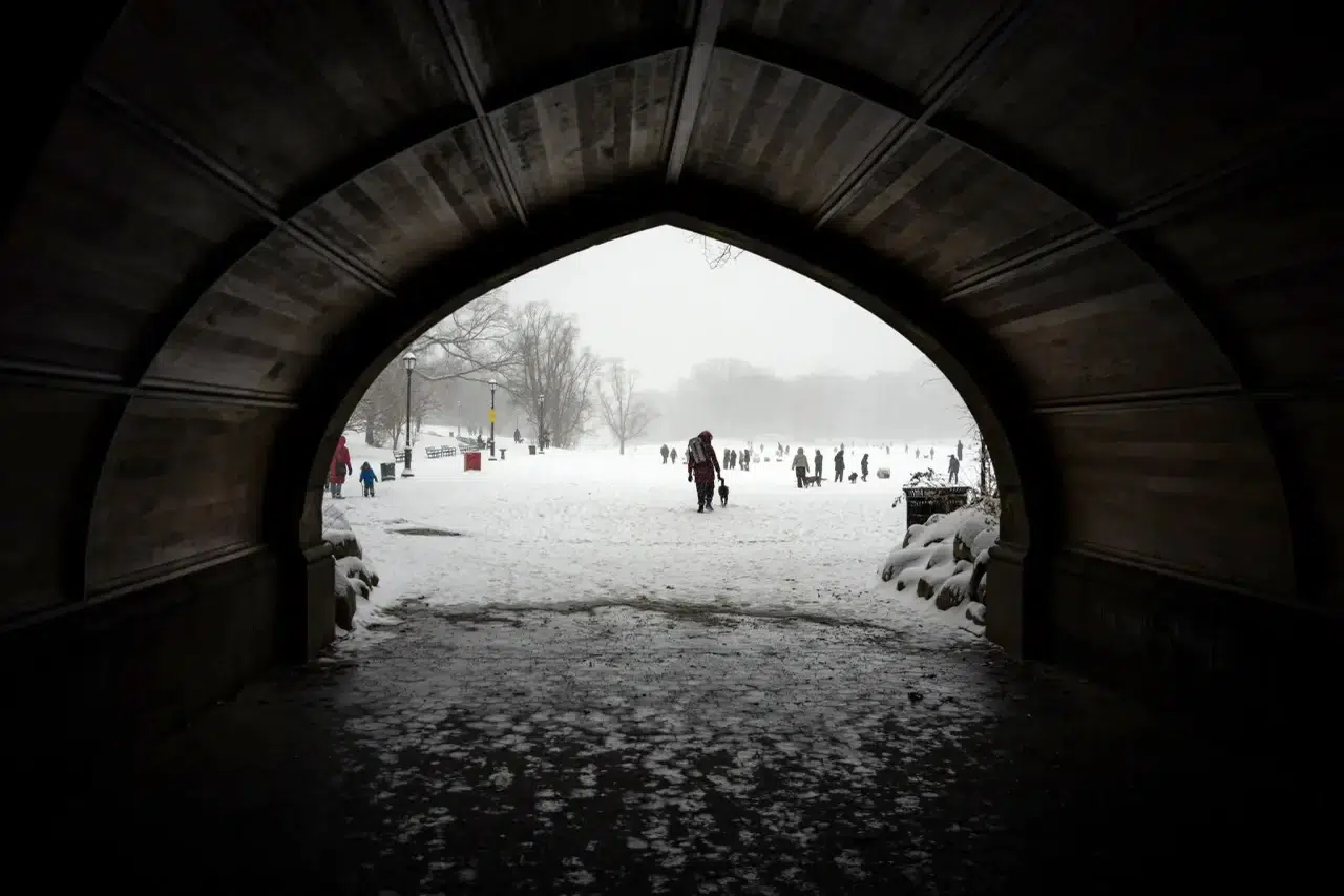 ABD'de 'Kutup Girdabı' alarmı: 100 milyon kişi kar hapsinde 11