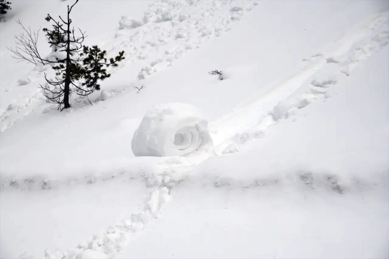 Ilgaz Dağı'nda nadir doğa olayı: Kar ruloları hayran bıraktı 7