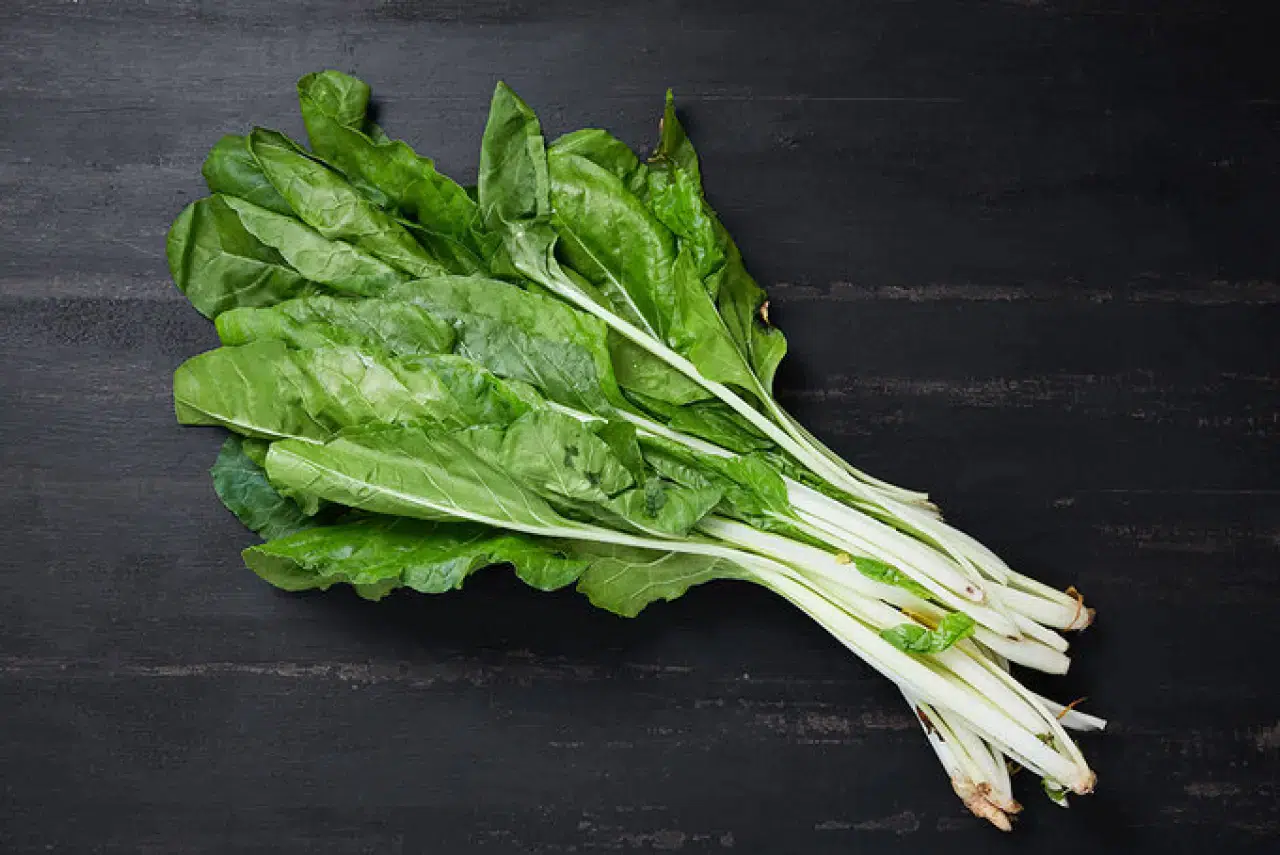 Bilim insanlarından beslenme rehberi: Sofraya mutlaka eklenmesi önerilen 7 gıda 3