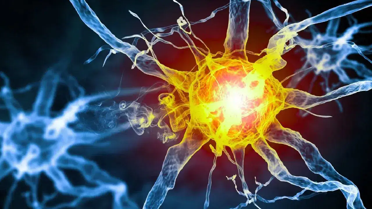 Beynimiz duygusal anıları neden unutmuyor?