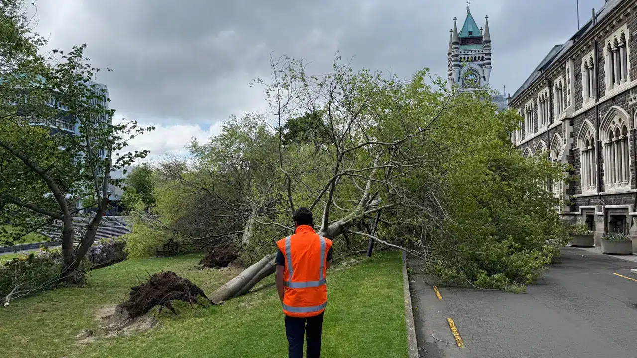 Yeni Zelanda'yı vuran şiddetli rüzgarlar 90 bin evi elektriksiz bıraktı!