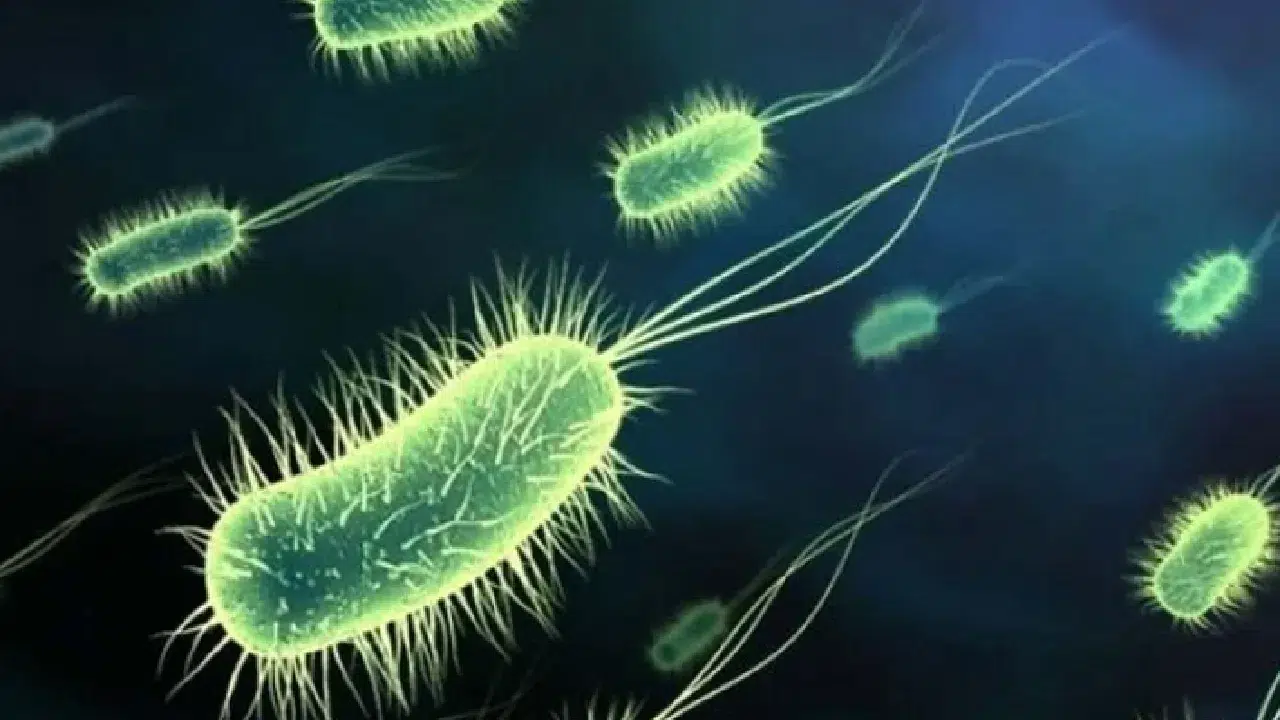 Uzmanlar açıkladı: En mikrop dolu yaş grubu belli oldu