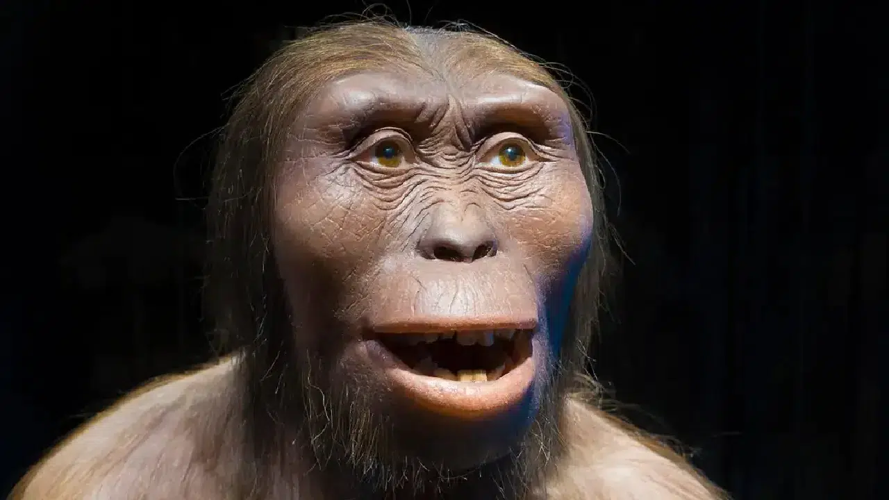 İnsan ve maymun özelliklerini taşıyan Hominin türü ortaya çıktı