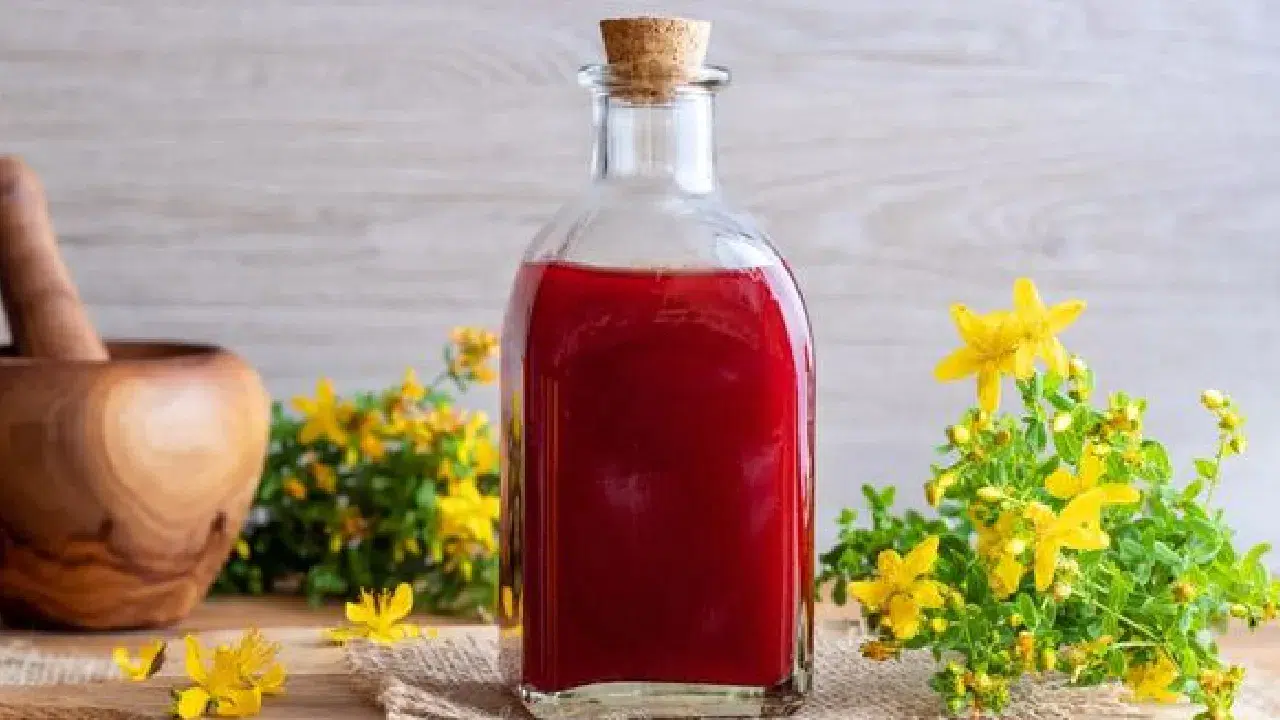 Kantaron yağı faydaları: Ciltten saça, sindirimden ruh haline şifa