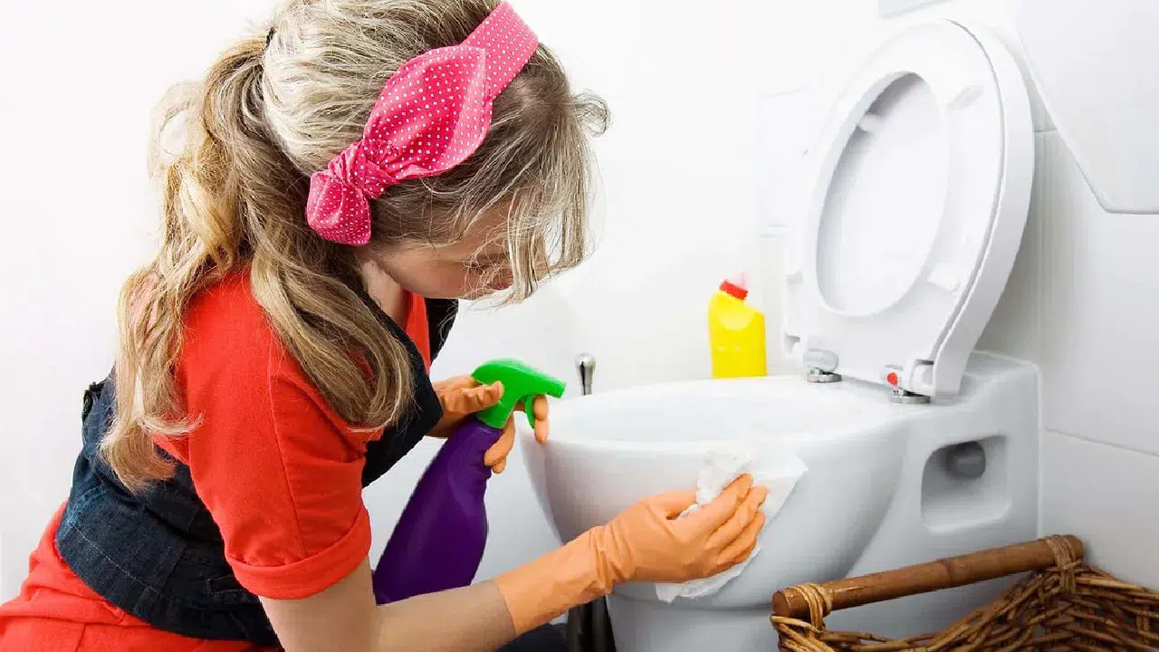 Klozeti peçeteyle silmek neden tehlikeli? Uzmanlar uyardı!