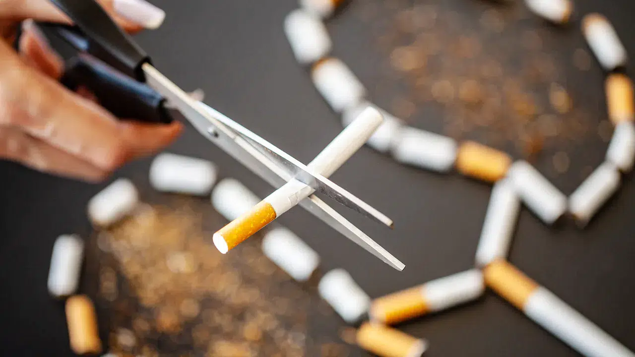 DSÖ uyardı: Tütün her yıl 7 milyon can alıyor