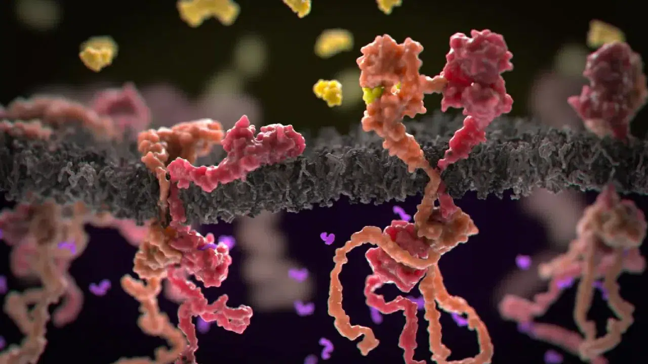 Gen düzenleme tekniğiyle ‘tedavi edilemez’ kan kanserinde umut veren sonuçlar