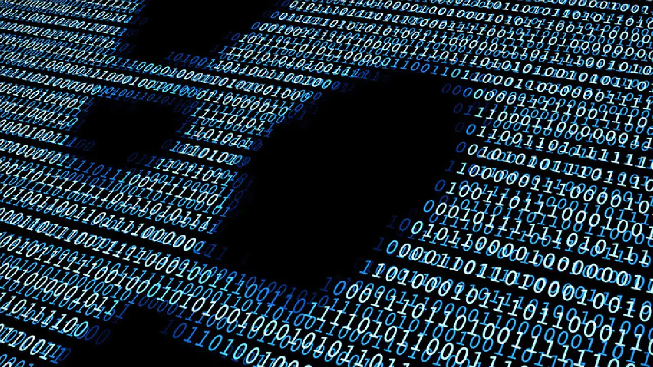 Dijital ayak izi nedir?