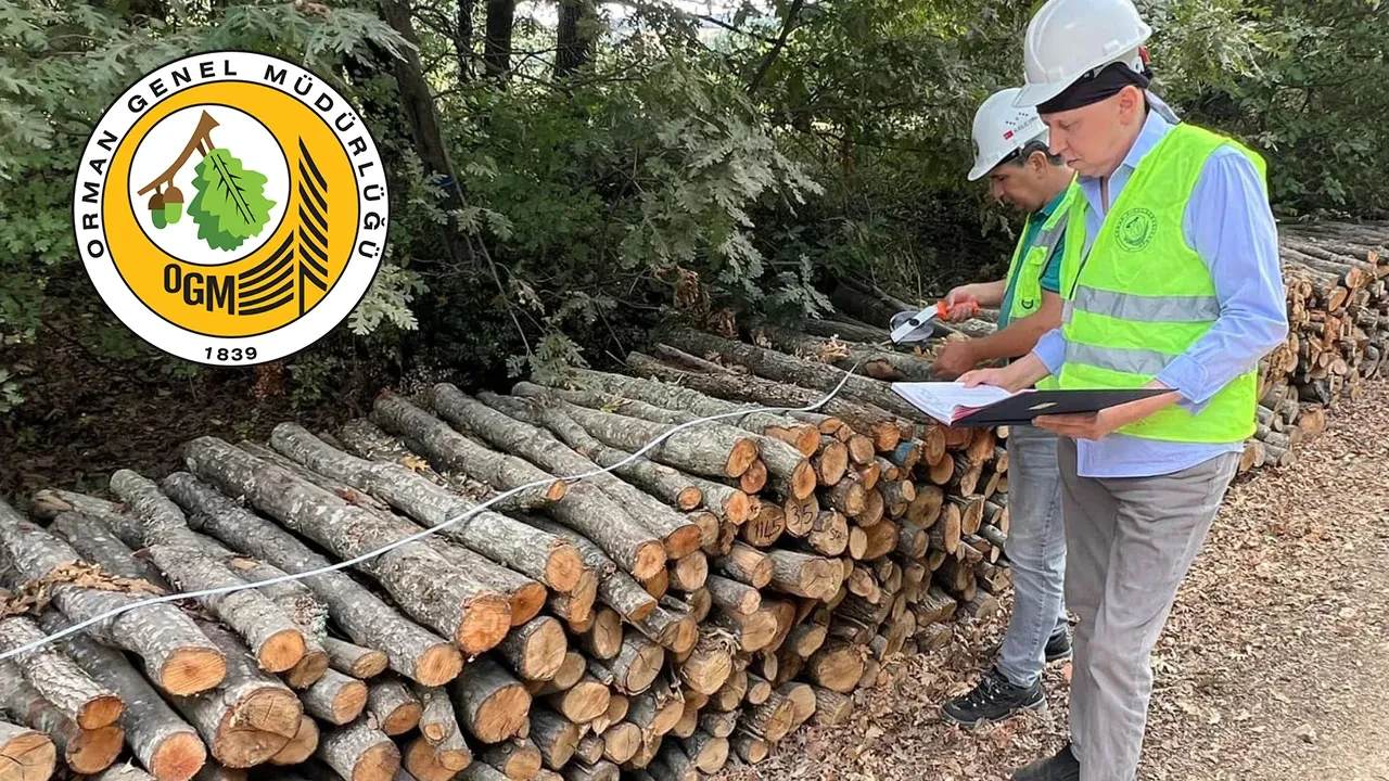 OGM 4.500 İşçi Alımı Kura Sonuçları Açıklandı: Nasıl Sorgulanır?