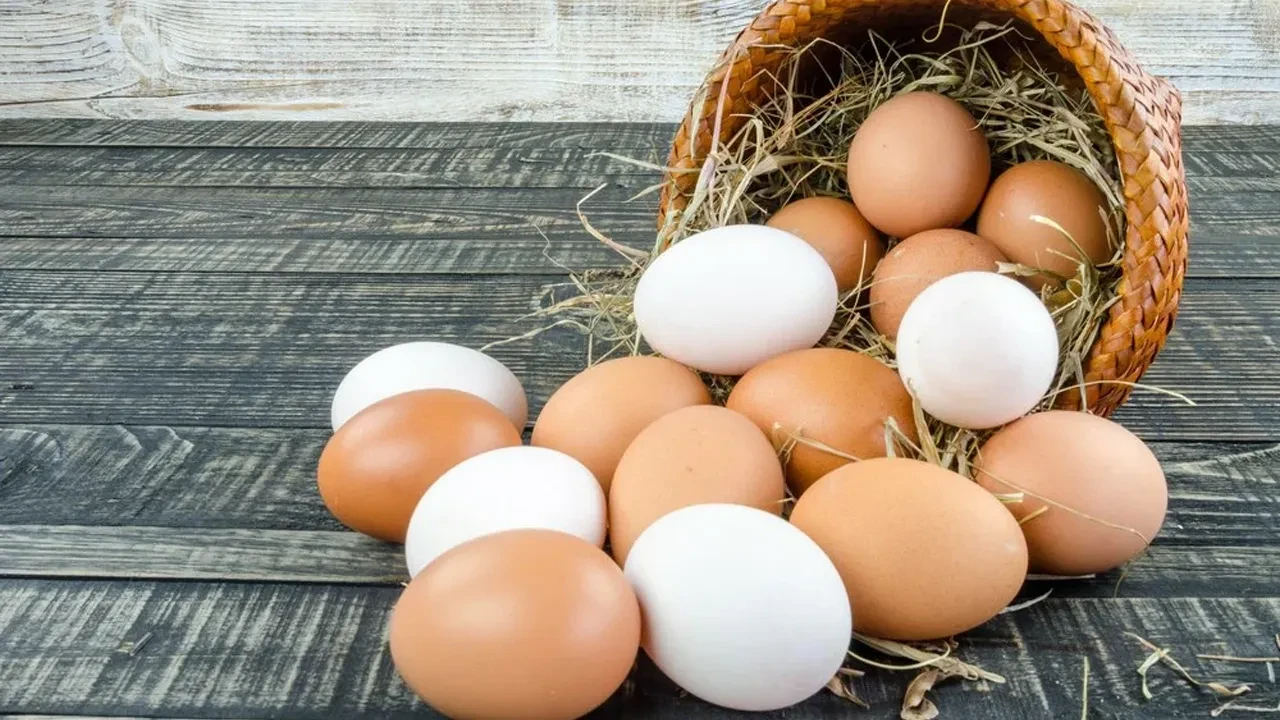TÜİK verilerine göre tavuk yumurtası üretimi martta yıllık bazda azaldı