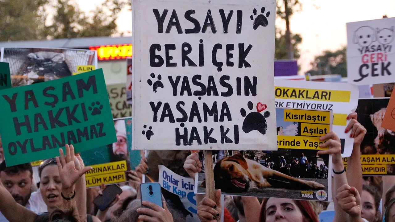 Ankara Barosu AYM'nin katliam yasası kararına tepki gösterdi: "Bu utanç sona erinceye dek yaşam hakkını savunacağız"