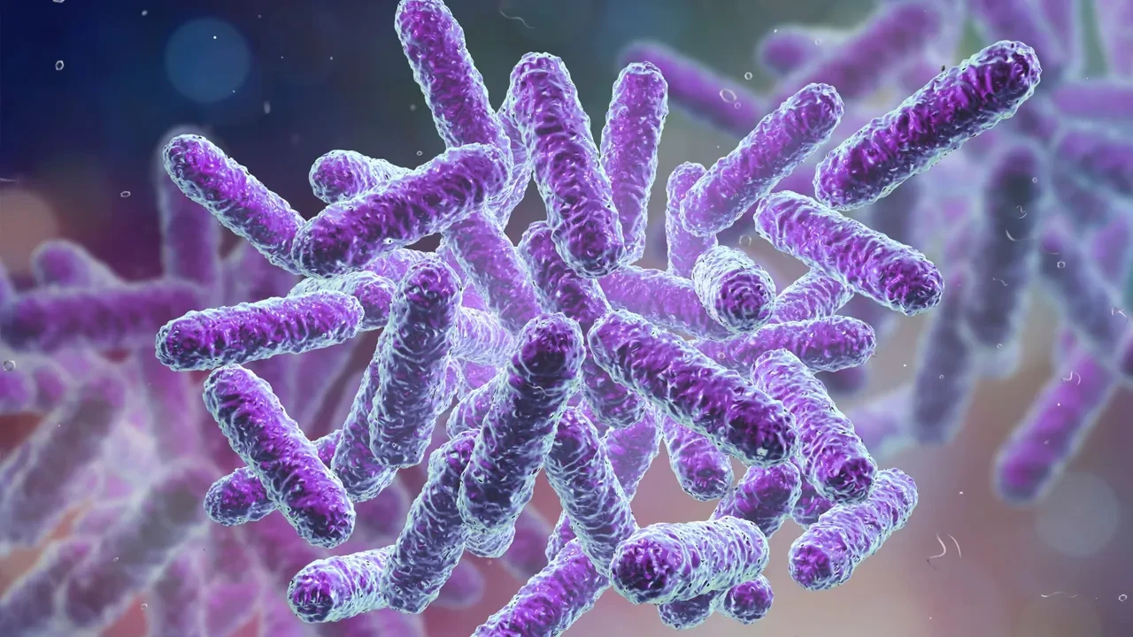 Oregon sahillerinde elektrik taşıyan bakteri keşfedildi